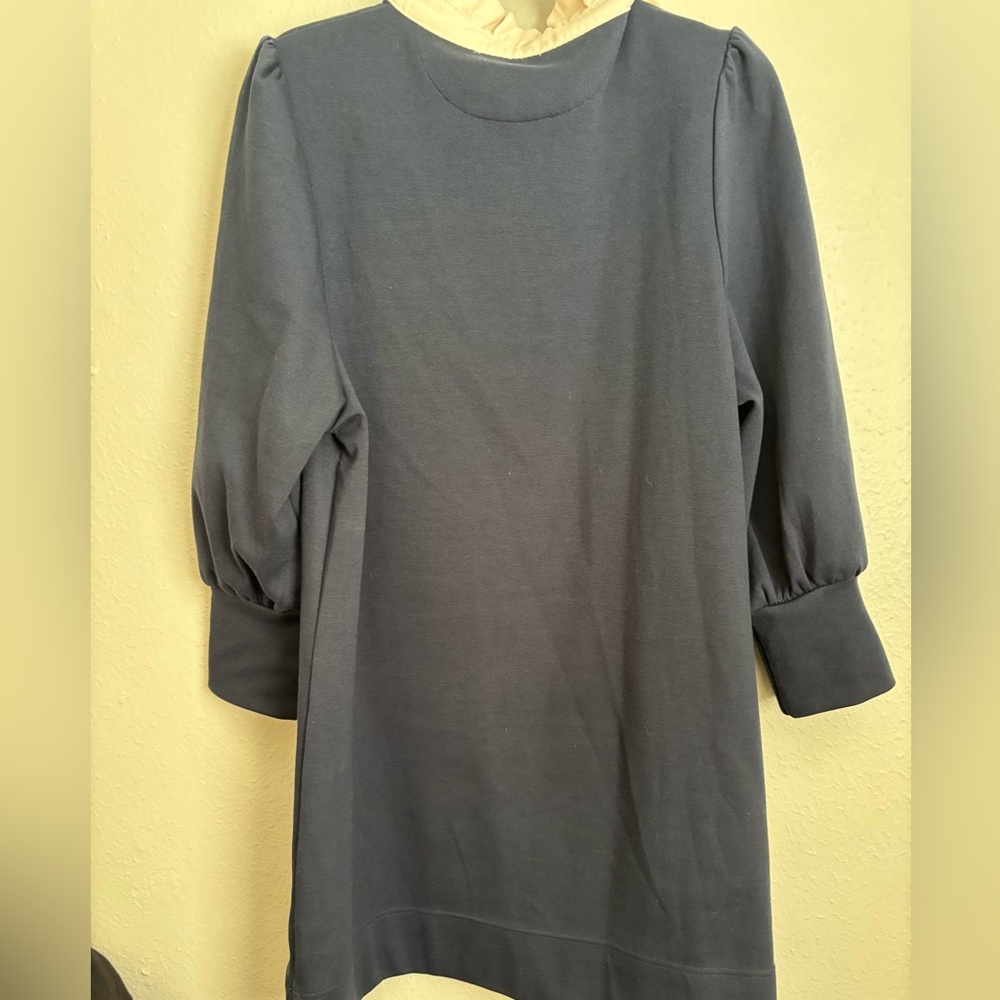 Tuckernuck Navy Dress with White Trim - Picture 11 of 13